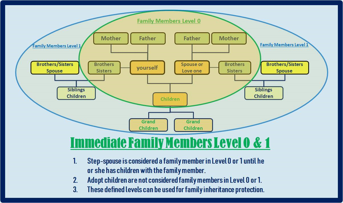 The Family Circle Model - Level 0 & 1